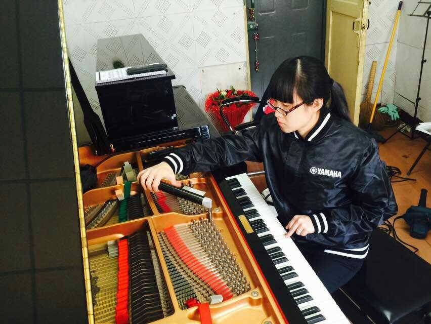 湖南师范大学、湖南师范学院，平博高校技术服务
