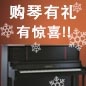 平博钢琴购琴有礼 买一赠一音乐无限