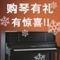 平博钢琴购琴有礼 买一赠一音乐无限